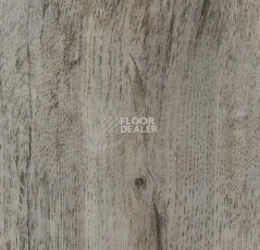 Кварцвиниловые полы Forbo Effekta Professional 0.45 4101 P Winter Harvest Oak PRO фото 1 | FLOORDEALER